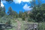 photo thumbnail #2