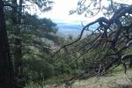 photo thumbnail #9