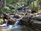 photo thumbnail #1