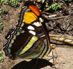 photo thumbnail #14