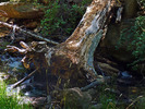 photo thumbnail #15