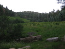 photo thumbnail #2