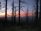 photo thumbnail #13