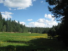 photo thumbnail #11