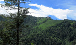 photo thumbnail #11
