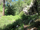 photo thumbnail #12