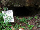 photo thumbnail #13