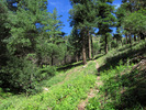 photo thumbnail #14