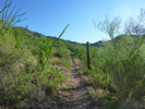 photo thumbnail #2