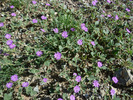 photo thumbnail #14