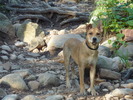 photo thumbnail #1