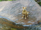photo thumbnail #3