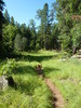 photo thumbnail #6