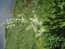 photo thumbnail #7