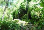 photo thumbnail #2