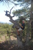 photo thumbnail #4