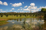 photo thumbnail #10
