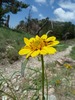 photo thumbnail #6