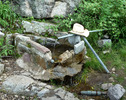 photo thumbnail #8