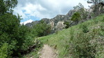 photo thumbnail #10