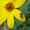 photo thumbnail #12