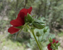photo thumbnail #13