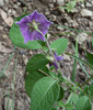 photo thumbnail #14