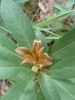 photo thumbnail #15