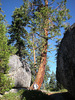 photo thumbnail #3