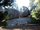 photo thumbnail #5
