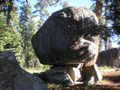 photo thumbnail #7