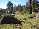 photo thumbnail #8