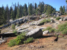 photo thumbnail #9
