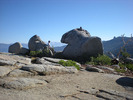 photo thumbnail #14