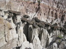 photo thumbnail #15
