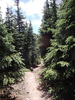 photo thumbnail #9
