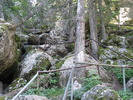 photo thumbnail #8