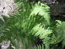 photo thumbnail #13