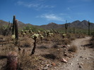 photo thumbnail #10
