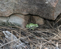 photo thumbnail #5