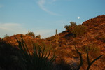 photo thumbnail #5