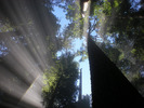 photo thumbnail #10