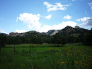 photo thumbnail #6