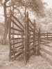 photo thumbnail #14