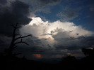 photo thumbnail #7