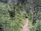 photo thumbnail #1