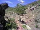 photo thumbnail #3