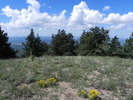 photo thumbnail #4
