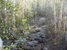 photo thumbnail #3