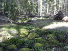 photo thumbnail #10